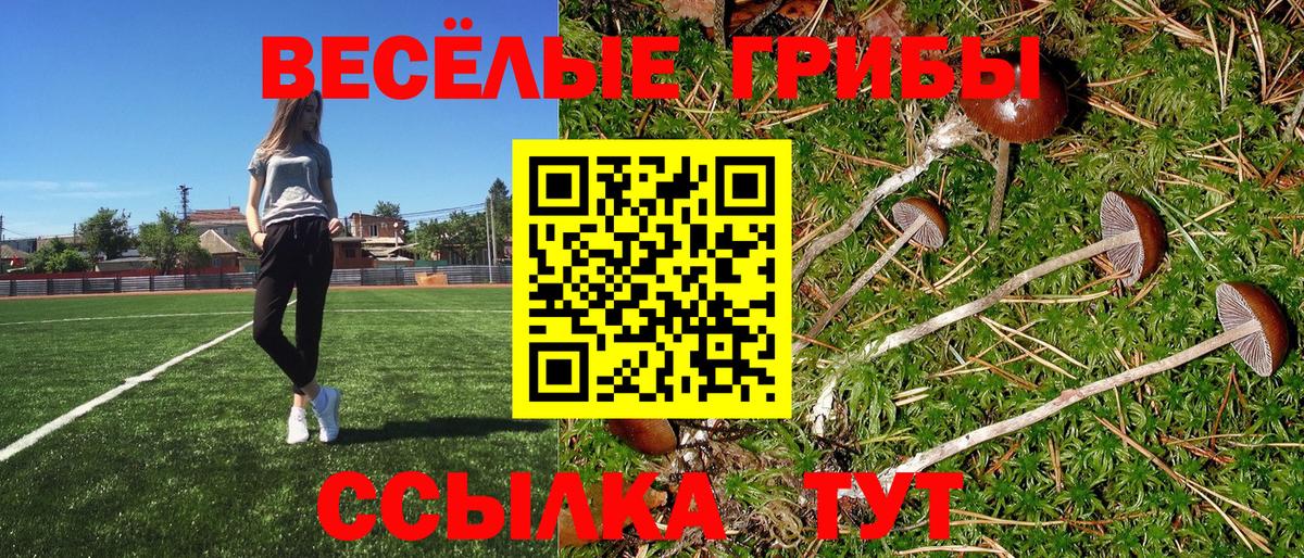 Псилоцибиновые грибы Psilocybe  Вход с VPN  Ставрополь 