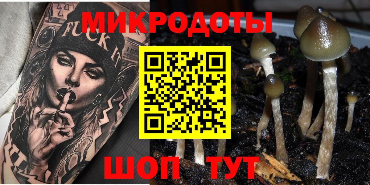 Галлюциногенные грибы Magic Shrooms Ставрополь